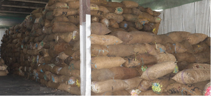 ‘Potential for coconut, cocoa high’ 