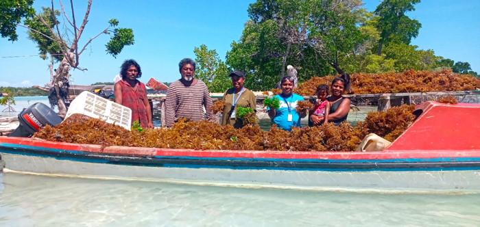 Boost for seaweed, tilapia, and sea cucumber farming