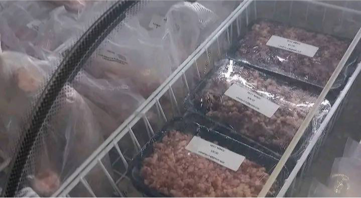 Local meat processing business thrives in Malu’u